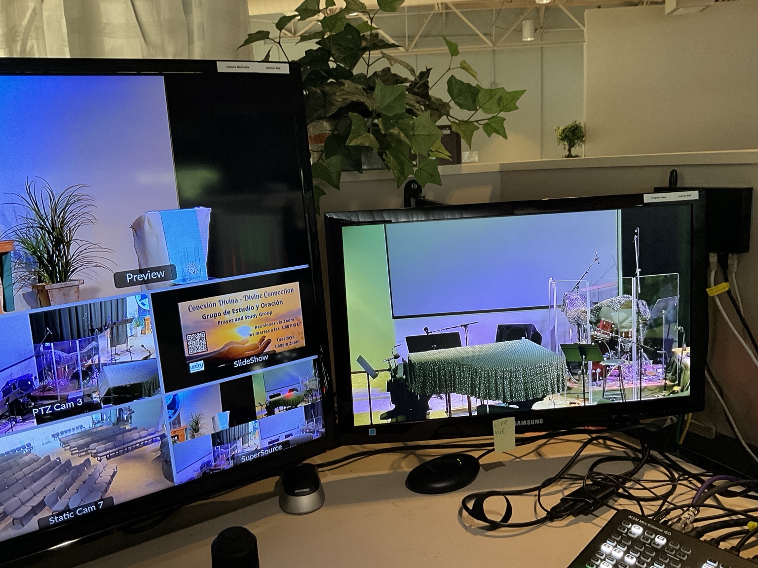 Program monitor and multiview